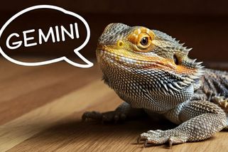 Gemini krok za krokem: Podrobný návod, jak pracovat s AI asistentem od Googlu - Seznam Zprávy